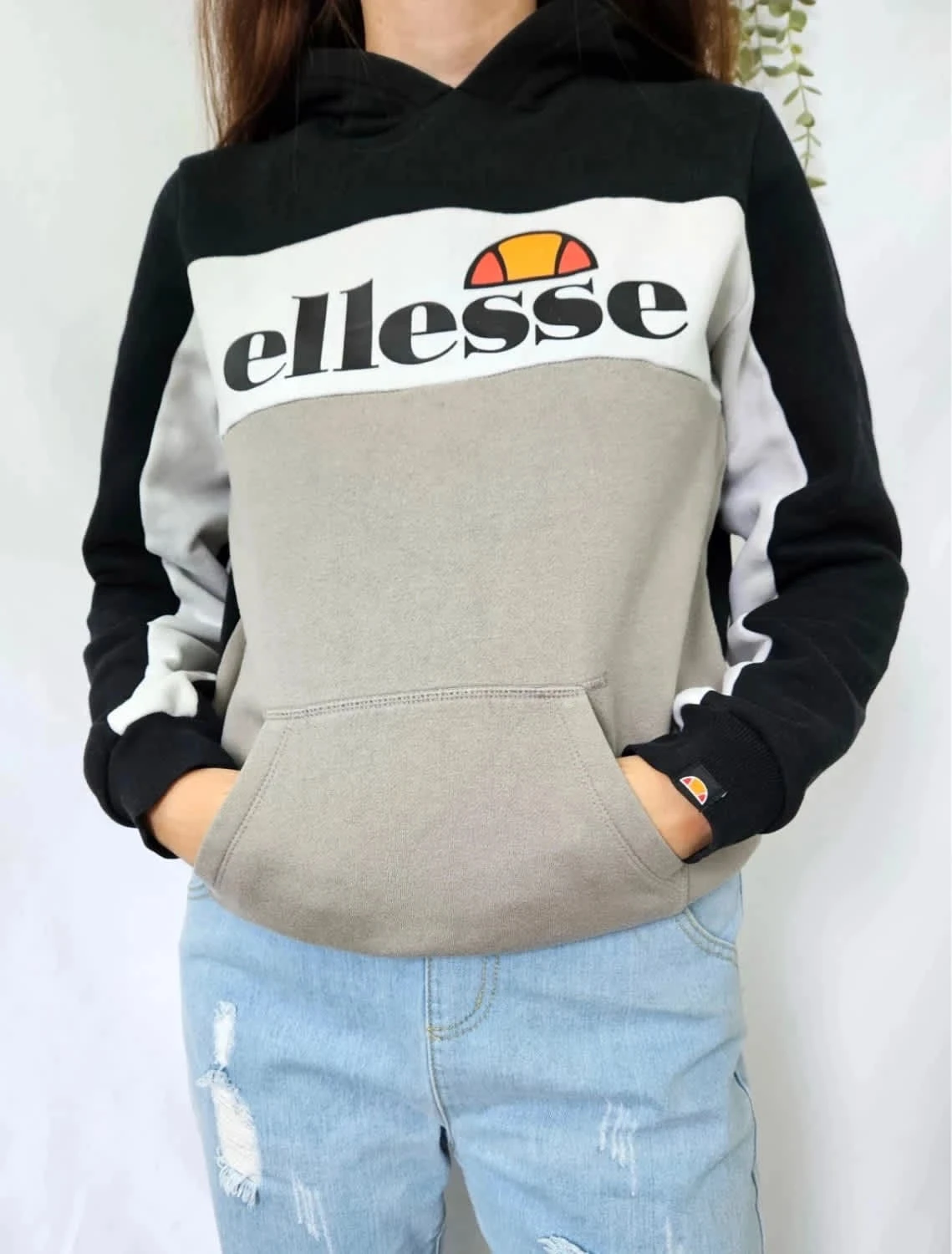 Sweat à capuche Ellesse tricolore